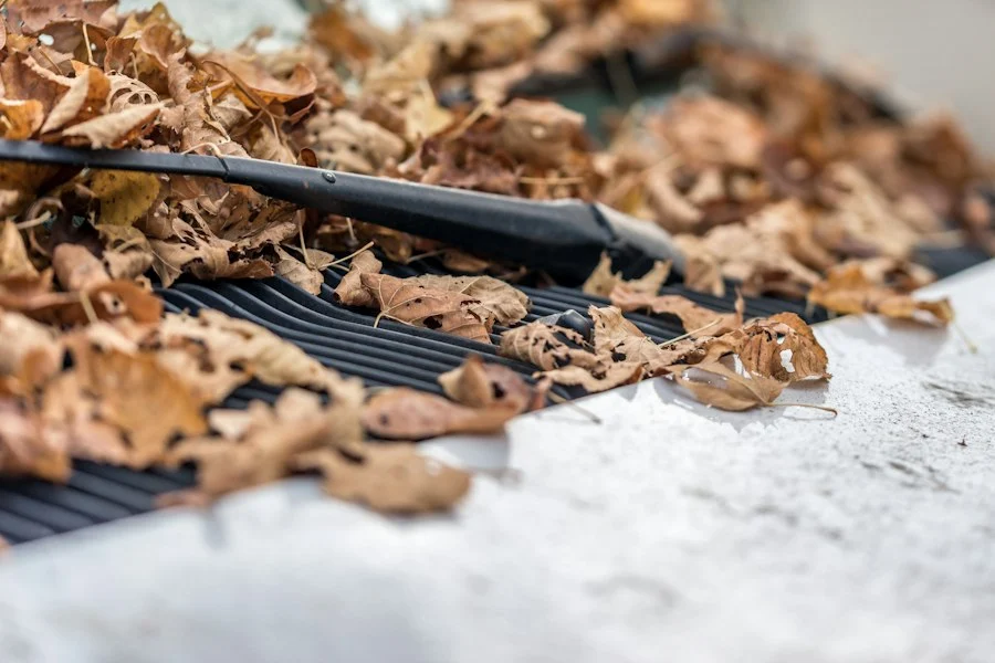 Rain gutter clogged with leaves and debris ready for cleaning