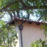 Beverly Hills Rain Gutters 1