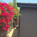 Glendale Rain Gutters _04