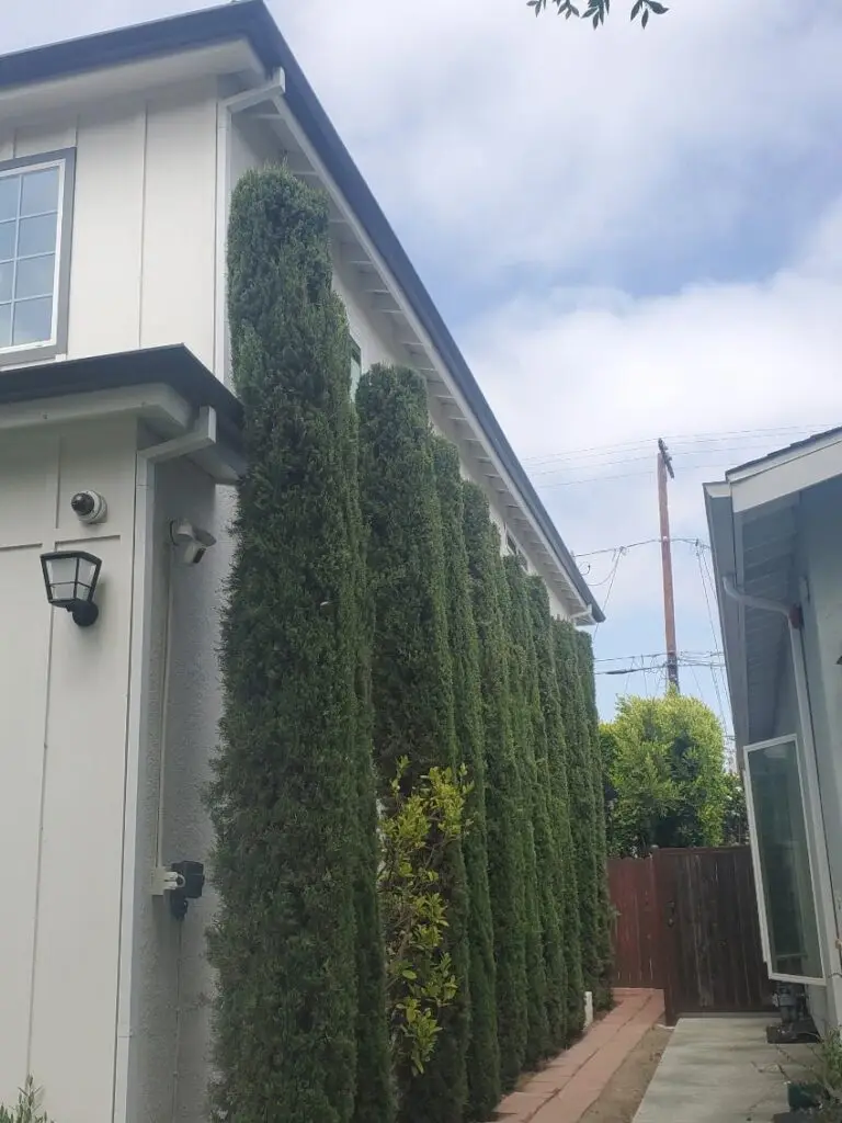 Quality rain gutter installation in Reseda, CA